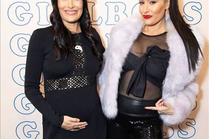Nikki Bella Shuts Down Buzz That She and Brie Bella Did IVF to Get Pregnant at the Same Time